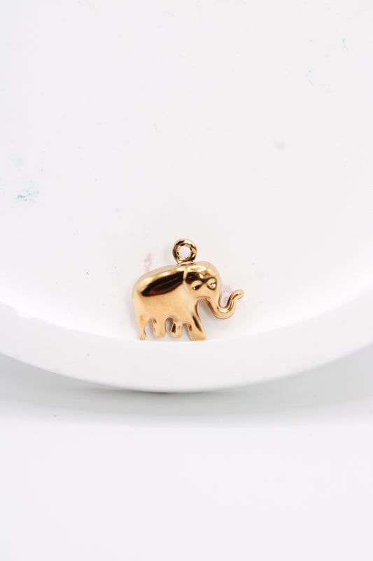 Elephant charm
